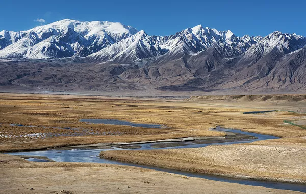 China Focus: Chinese, Tajik Scientists Join Forces to Protect Pamir Plateau Wildlife