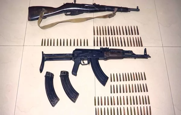 Georgia Foils Major Illegal Weapons Smuggling Attempt, Two Arrested