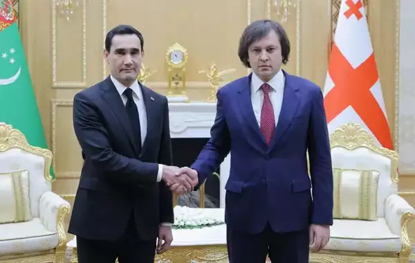 Georgia, Turkmenistan Commend Positive Dynamics in Political and Economic Ties