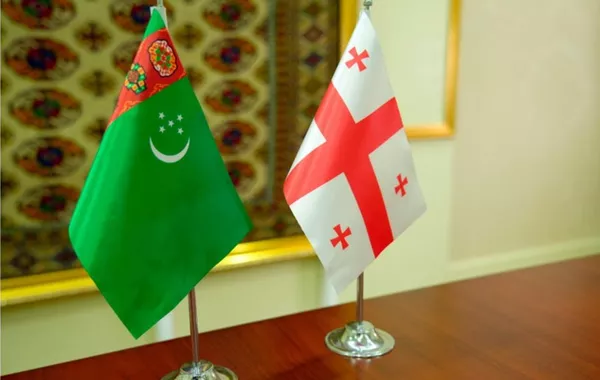 Georgia and Turkmenistan Seek to Strengthen Business Relations