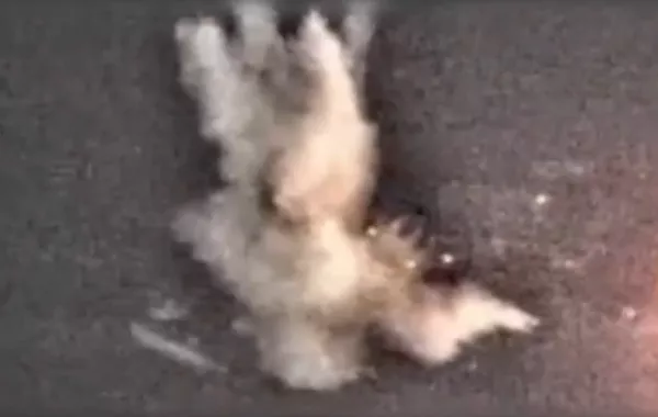 Watch: First-Ever Israeli Strike on Iranian Navy Targets in the Caspian