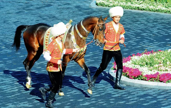 Turkmen, Azerbaijani Breeders Unite to Revive Legendary Akhal-Teke and Karabakh Horses