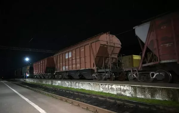 Tajikistan Eyes Record Wheat Supplies from Kazakhstan