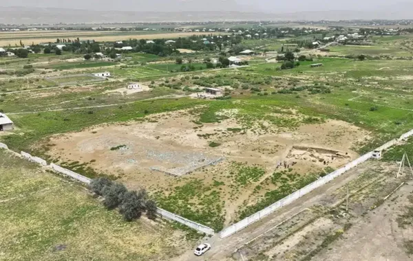 Archaeologists Reveal Early Iron Age City in Uzbekistan