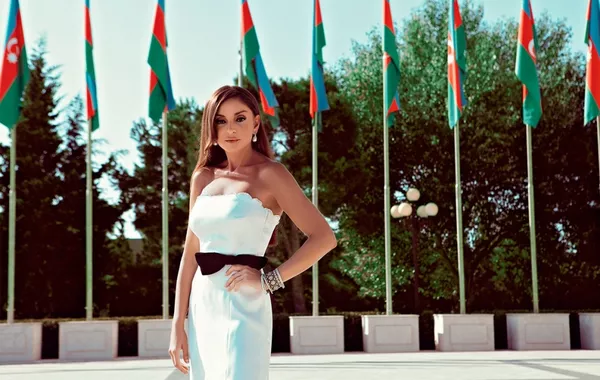 Azerbaijani First VP Shares Solidarity Day, New Year Message