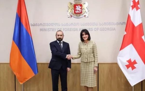 Armenia and Georgia FMs Hold Talks on Regional Issues