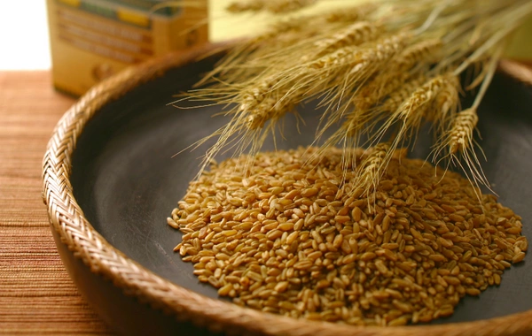 Kazakhstan Reinstates Grain Supplies to Iran and Azerbaijan