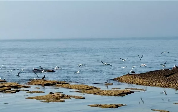 Caspian Sea Crisis: Environmental and Economic Impact