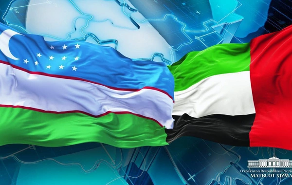 UAE and Uzbekistan Explore Opportunities to Strengthen Relations