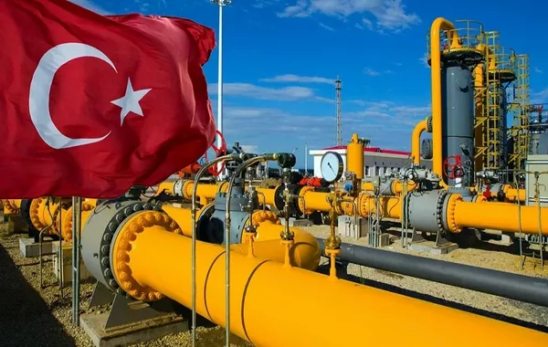 Erdoğan: Türkiye-Azerbaijan Gas Supplies to Syria Help Foster Stability