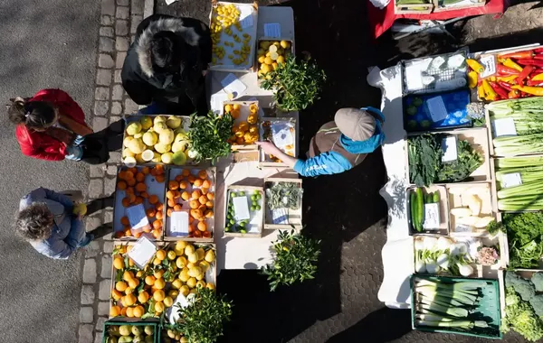 US-Israeli War on Iran Fuels Higher Global Food Prices, Mideast Poverty: UN Agencies