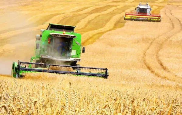 Kazakhstan Expands Grain Exports to Europe via Estonian Port