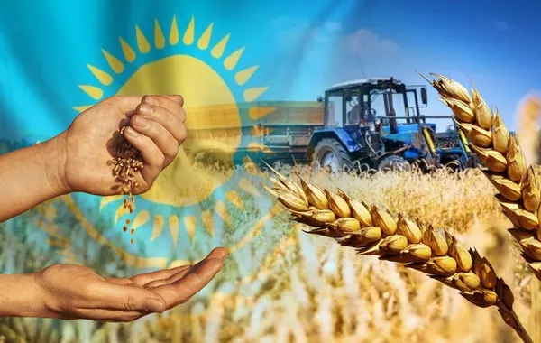 Kazakhstan Expands Grain Trade as Exports Jump by Over 58%
