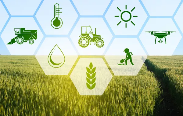 Azerbaijan's Agriculture Sees 1% Growth