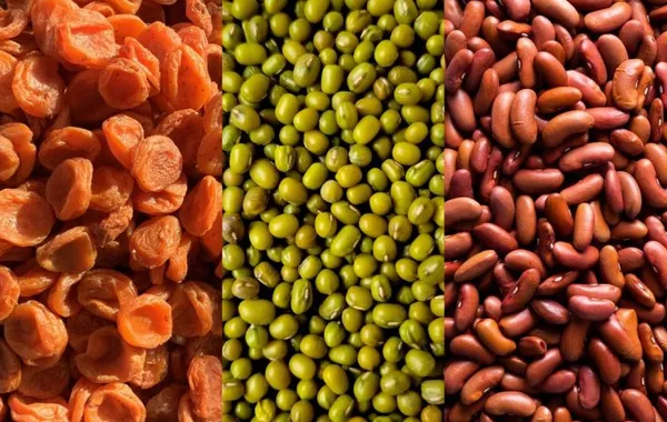 Dominican Republic Opens Its Market to Uzbek Dried Fruits and Legumes