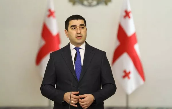 Georgia's Papuashvili Slams Helsinki Commission for Political Bias