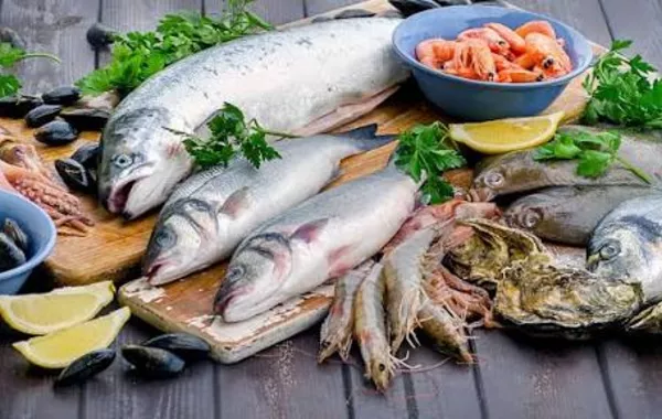 Armenia Exports 60 Tons of Fish and Fish Products to UAE - VIDEO