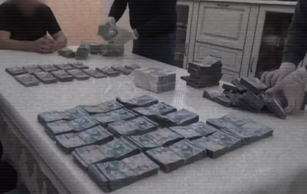 Kazakh Anti-Corruption Service Detains Senior Official