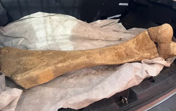Fisherman in North Kazakhstan Unearths 15,000-Year-Old Mammoth Bone
