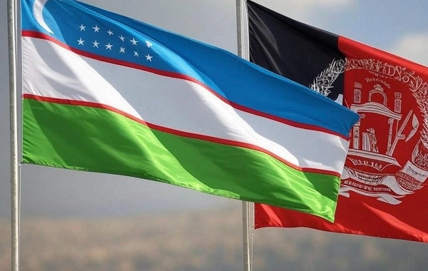 Uzbekistan and Afghanistan Enter New Era of Limited Recognition