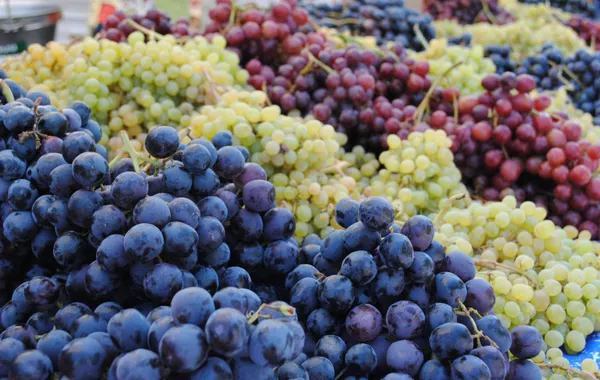 Georgian PM Warns of Significant Drop in Grape Harvest
