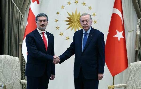 Georgian President Extends Condolences to Turkish Counterpart Over Plane Crash