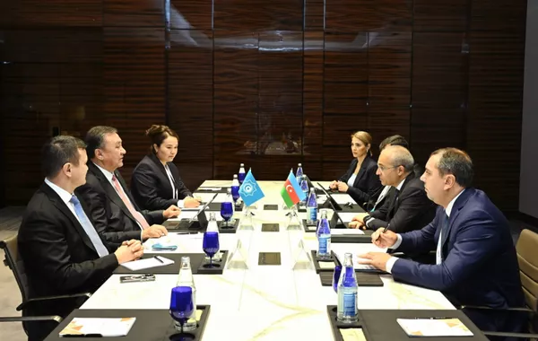 Azerbaijan, Turkic States Focus on Innovation and Connectivity Projects