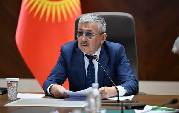 Kyrgyzstan's Economy Shows Steady Growth - Head of the Presidential Administration