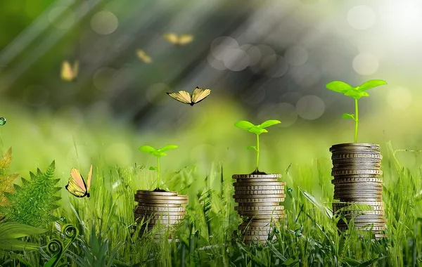 Germany Funds Uzbekistan’s Green Future with €9M