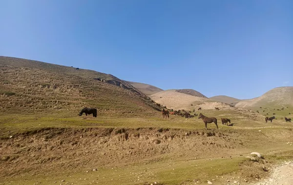 Warm Winter in Tajikistan Brings Big Risks for Farmers