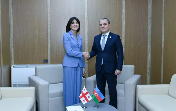 Azerbaijani and Georgian Foreign Ministers Discuss Bilateral Cooperation
