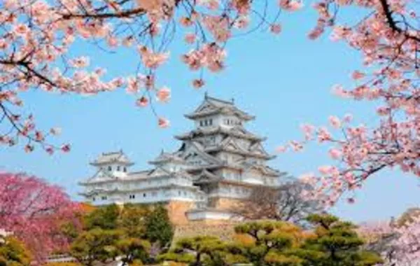 Uzbek Visitors to Japan Surge by 60% in 2025