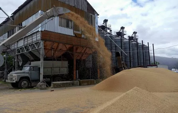 Iran Emerges as Top Buyer of Russian Grain