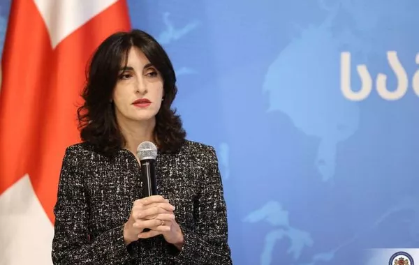 Azerbaijan-Georgia Strategic Partnership Yields Tangible Results, Says FM