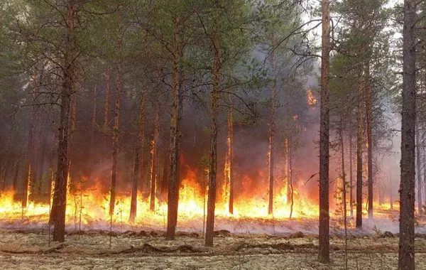 Russia’s Siberia Battles Massive Wildfires as Blazes Expand