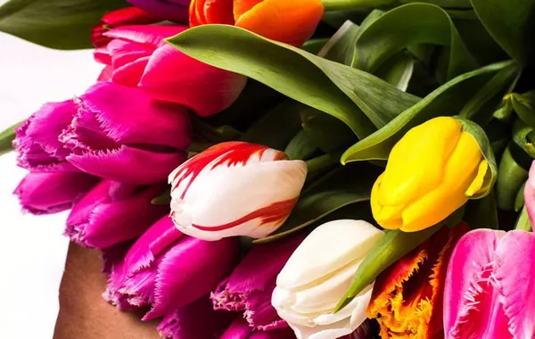 Armenian Flowers Bloom in Ukraine’s Market: What’s Behind Shift