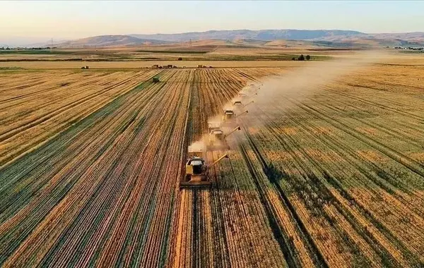 Türkiye Secures $750M World Bank Financing for Agrifood Sector