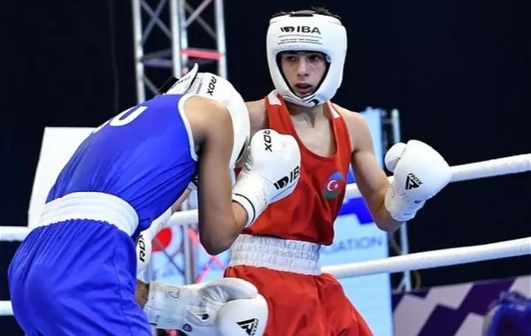 Azerbaijan Scores Triple Bronze at World Boxing Cup