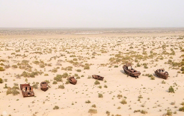 Kazakhstan Initiates Forest Planting on Aral Sea’s Dried-Up Bed