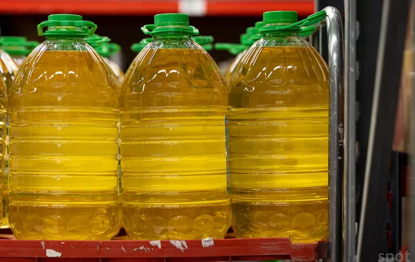 Uzbekistan May Ease Sunflower Oil Export Rules to Boost Business