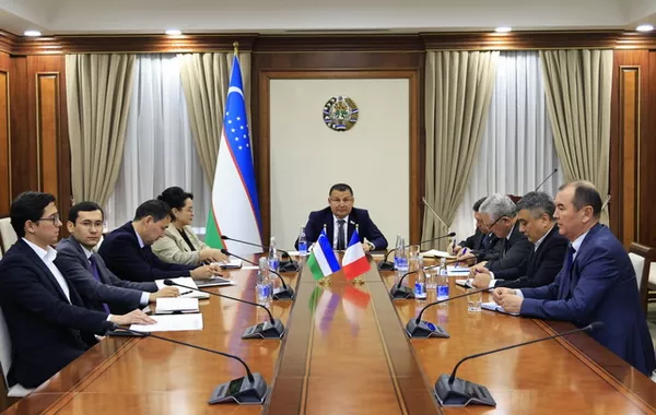 Uzbekistan, France Hold Virtual Talks to Boost Interparliamentary Cooperation