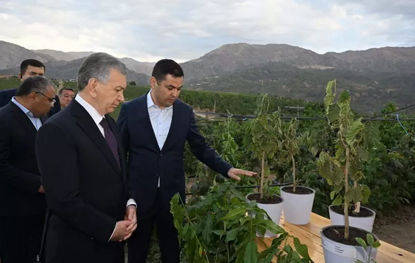 Uzbek Leader Tours Chimyön Orchard, Highlights Boost to Horticulture and Processing