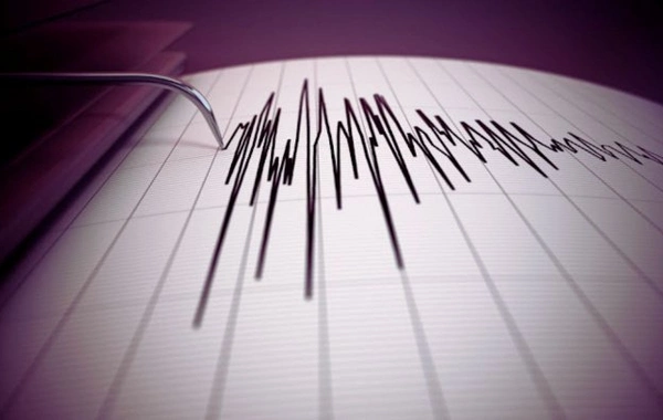 Magnitude 4.4 Earthquake Strikes Kazakh-China Border Region