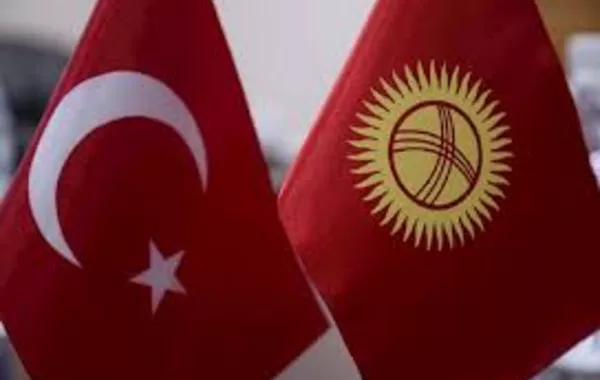 Kyrgyzstan Seeks to Expand Energy Cooperation with Türkiye