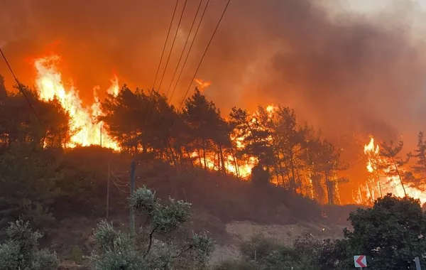 Wildfires Ravage 80,000 Hectares in Türkiye This Year