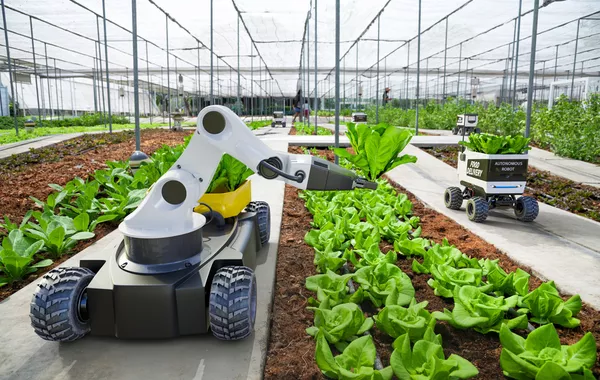 Kyrgyzstan to Cultivate Future Farming with New “Smart Farm” Initiative