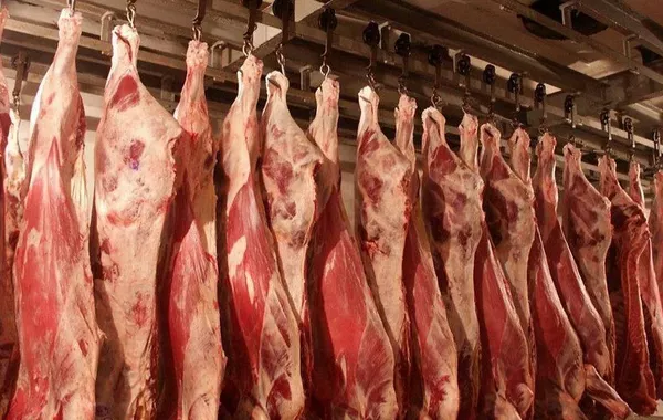 Kazakhstan Boosts Global Exports of Meat, Dairy