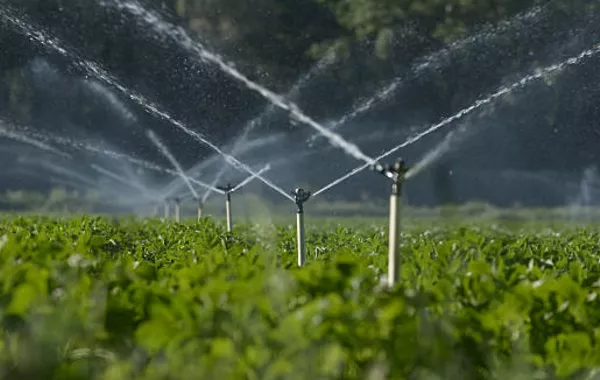 Uzbekistan Secures Major EBRD Funding for Irrigation System Upgrades