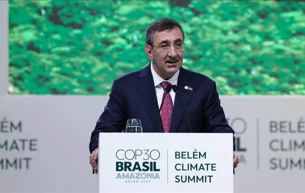 Türkiye Aims to Bridge Gap Between Global North and South in Combating Climate Change: Vice President