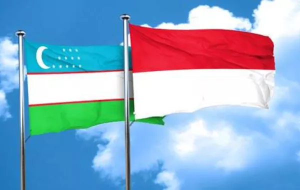 Uzbekistan, Indonesia Lift Airline Limits, Expand Travel Horizons